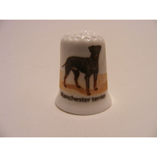 Manchester terrier op een porselein vingerhoedje