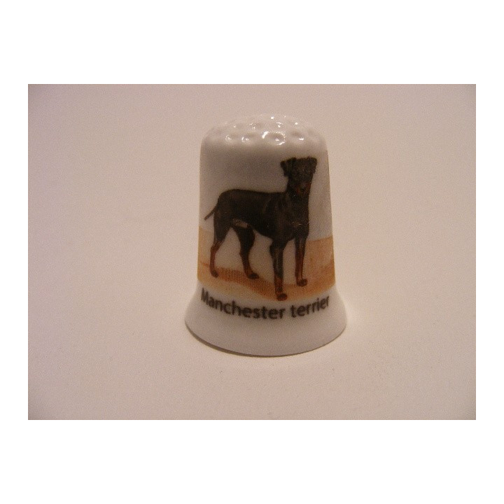 Manchester terrier op een porselein vingerhoedje