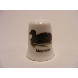 Meerkoet watervogel vingerhoedje