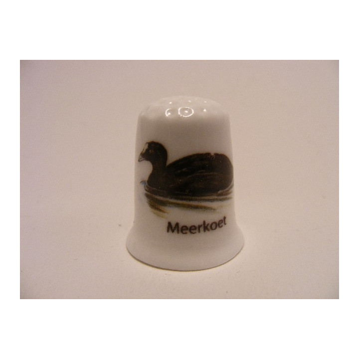 Meerkoet watervogel vingerhoedje