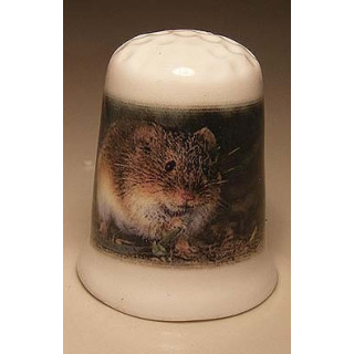 Muis foto op een porselein vingerhoedje