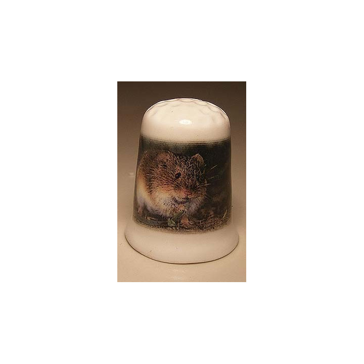 Muis foto op een porselein vingerhoedje