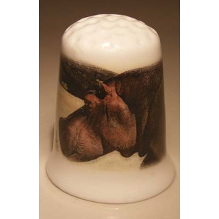 Nijlpaard foto op een porselein vingerhoedje