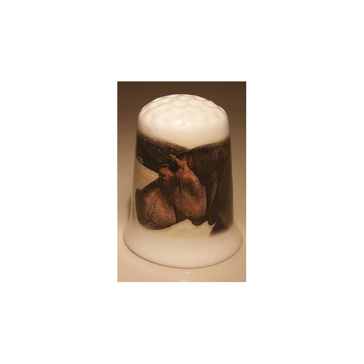Nijlpaard foto op een porselein vingerhoedje