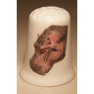 Nijlpaard kop op een vingerhoedje