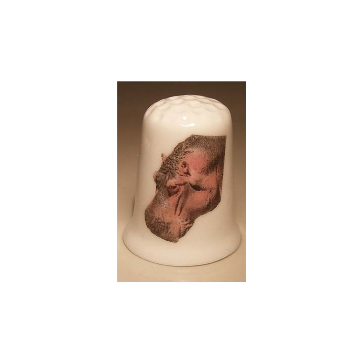 Nijlpaard kop op een vingerhoedje