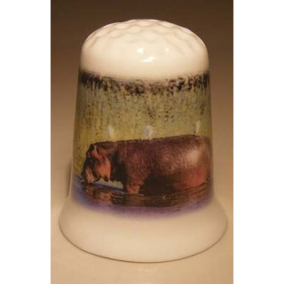 Nijlpaard in het water op een porselein vingerhoedje