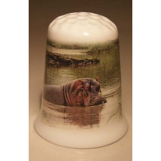 Nijlpaard staand in het water op een porselein vingerhoedje