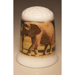 Olifant afbeelding op een porselein vingerhoedje