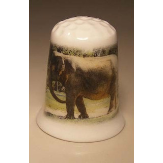 Olifant foto op een porselein vingerhoedje