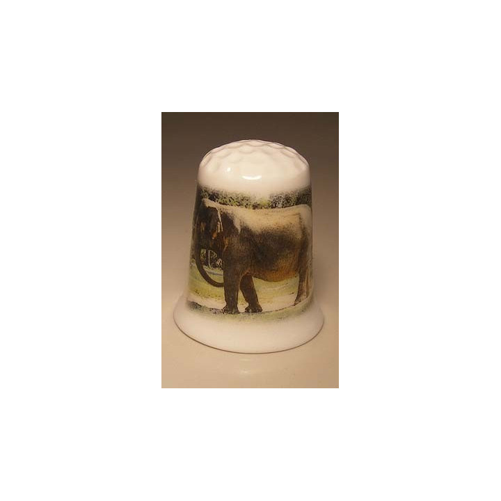 Olifant foto op een porselein vingerhoedje