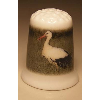 Ooievaar lopend door het gras op een vingerhoedje