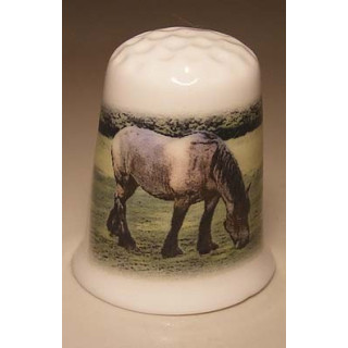 Paard aan het grazen op een porselein vingerhoedje