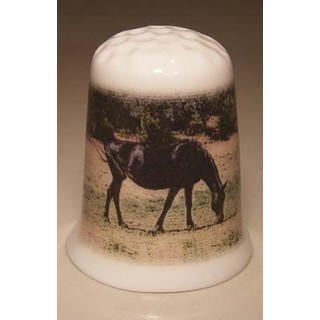 Paard grazend op een porselein vingerhoedje