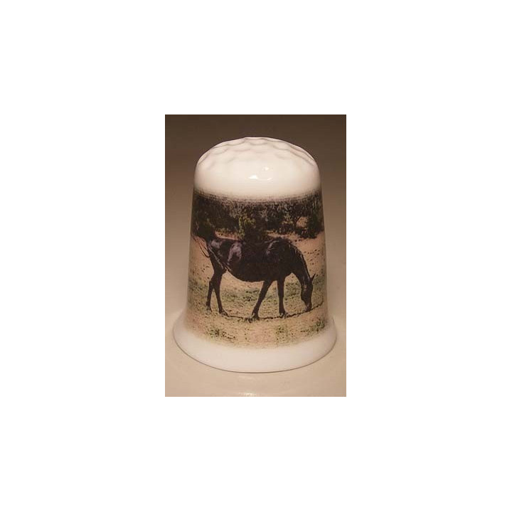 Paard grazend op een porselein vingerhoedje