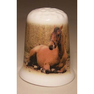 Paard ligt op de grond op een porselein vingerhoedje