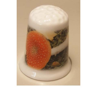 Paddestoel op de grond op een porselein vingerhoedje