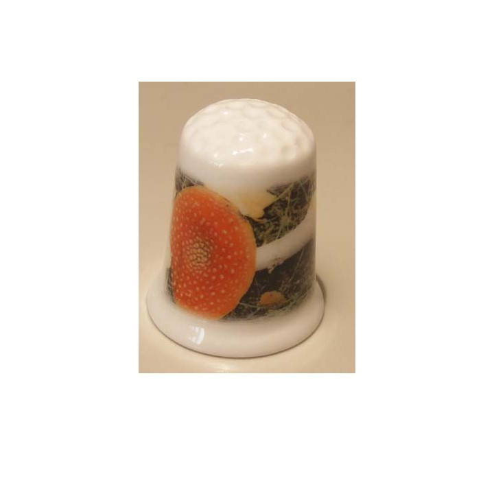 Paddestoel op de grond op een porselein vingerhoedje