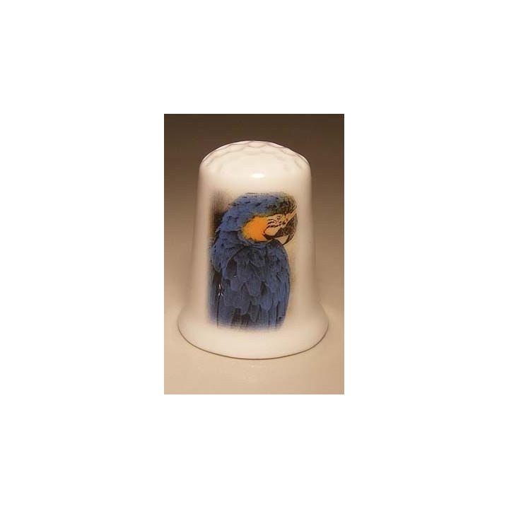 Papegaai afbeelding op een porselein vingerhoedje