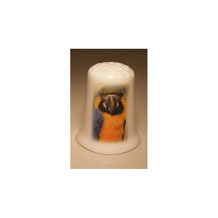 Papegaai foto op een porselein vingerhoedje