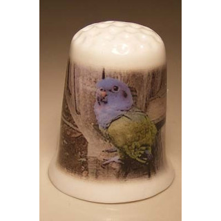 Parkiet vingerhoedje