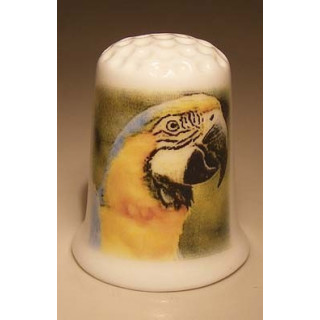 Geel en blauwgrijs papegaai kop vingerhoedje