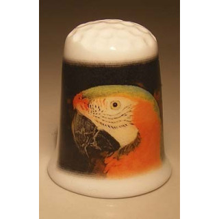 Roodoranje en groen papegaai kop vingerhoedje