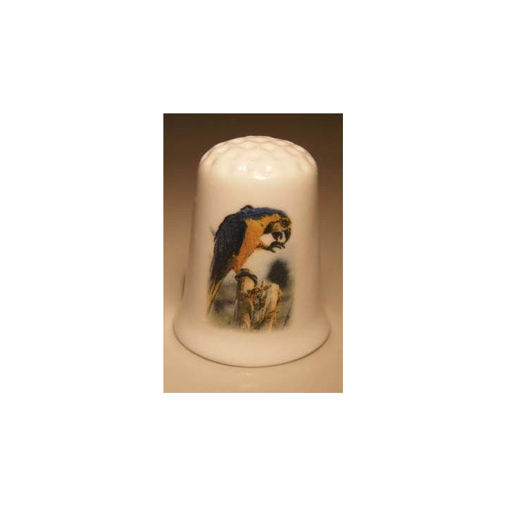 Papegaai op een balk op een porselein vingerhoedje