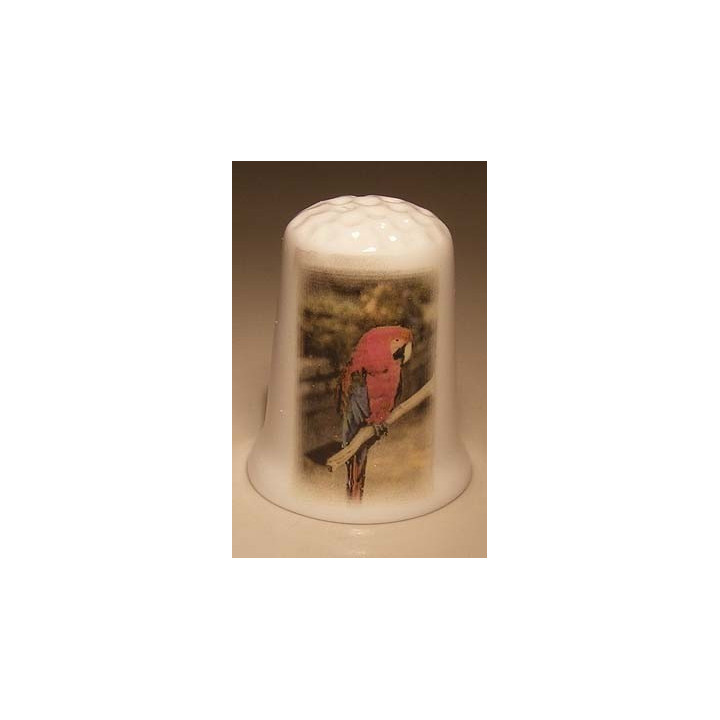 Papegaai op een tak vingerhoedje