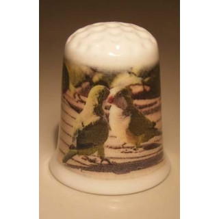 Parkieten op de grond vingerhoedje