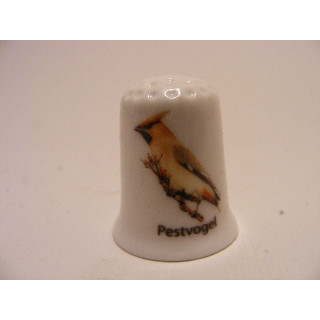 Pestvogel Bombycilla garrulus op een porselein vingerhoedje