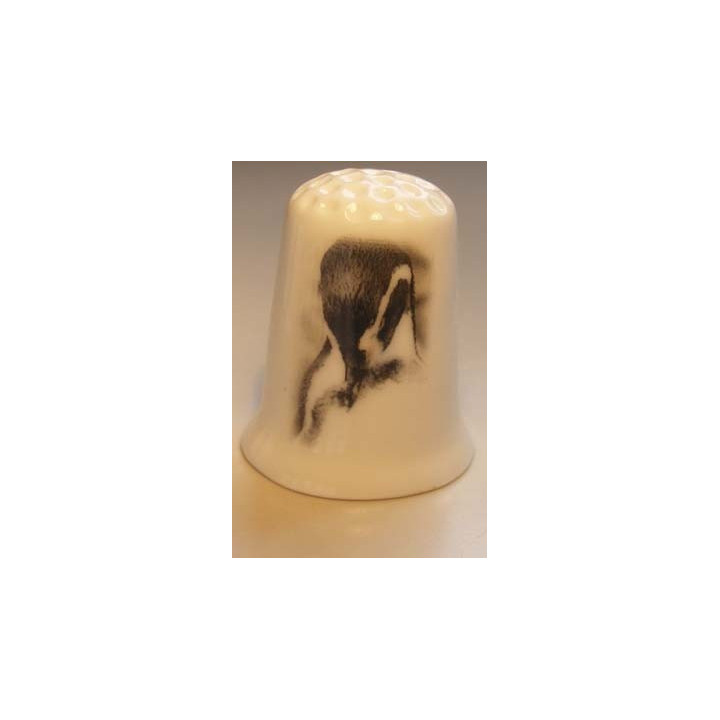 Pinguin kop op een porselein vingerhoedje nr02