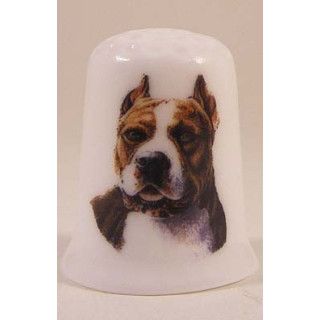 Pit Bull hond op een porselein vingerhoedje