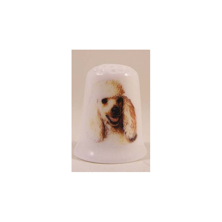 Poedel hond op een porselein vingerhoedje