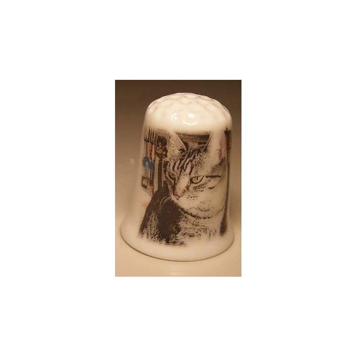 Poes foto op een porselein vingerhoedje