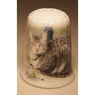 Poes liggend op de grond op een porselein vingerhoedje