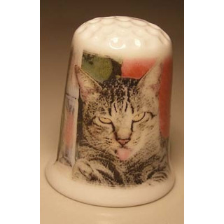 Poes met tong uit bek op een porselein vingerhoedje