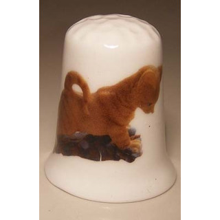 Poes op een porselein vingerhoedje nr03