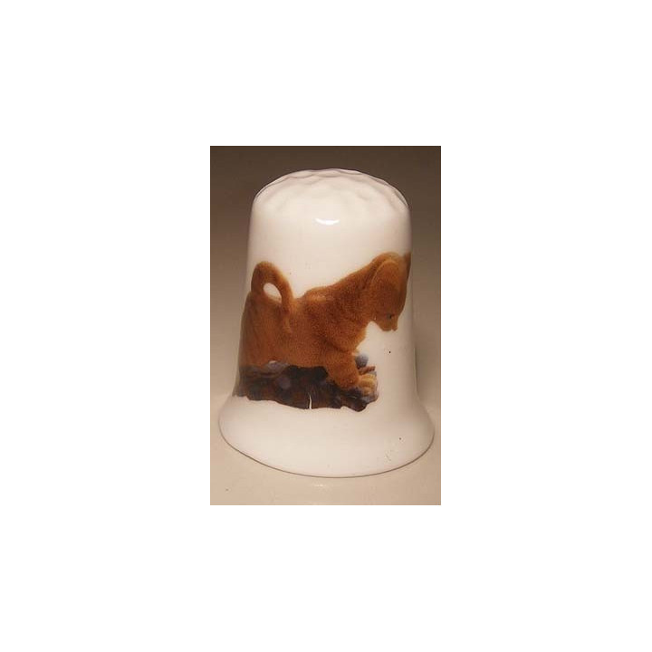 Poes op een porselein vingerhoedje nr03