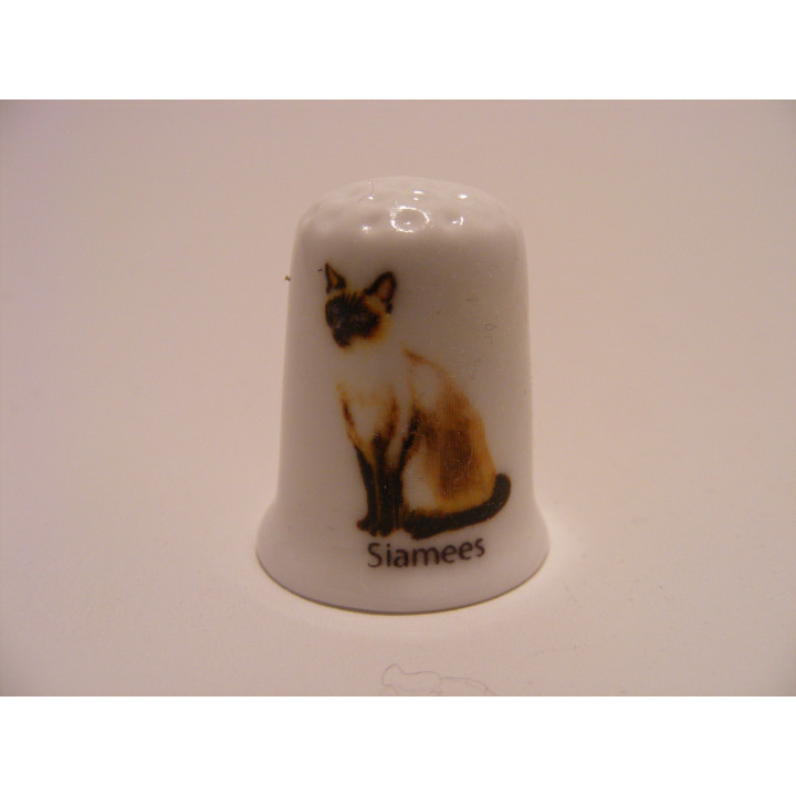 Poes Siamees op een porselein vingerhoedje