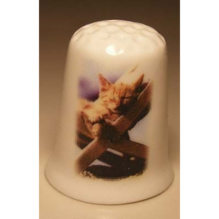 Poes slaapt op een tuinstoel op een porselein vingerhoedje