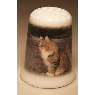 Poes zittend op de grond op een porselein vingerhoedje