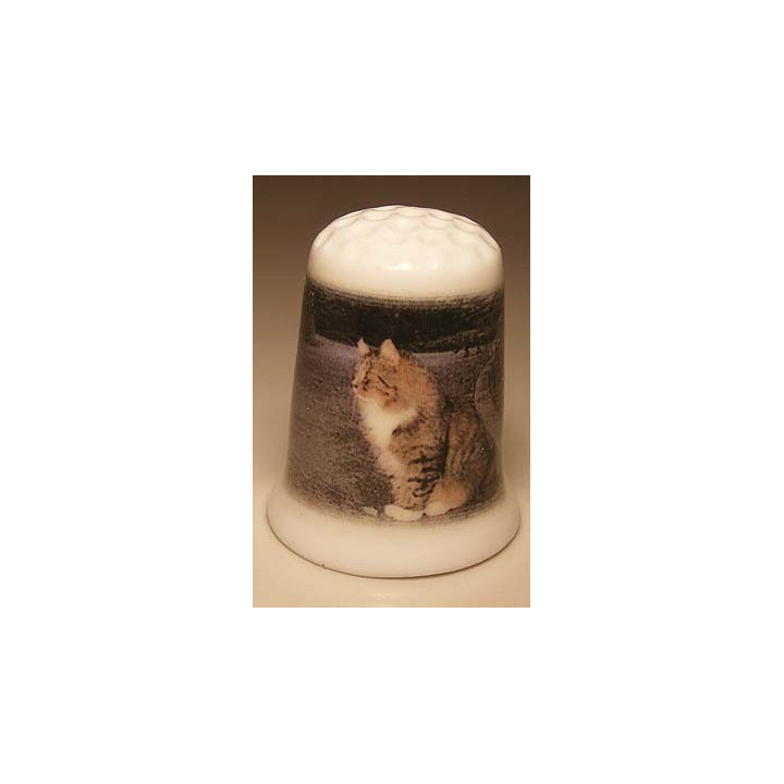 Poes zittend op de grond op een porselein vingerhoedje