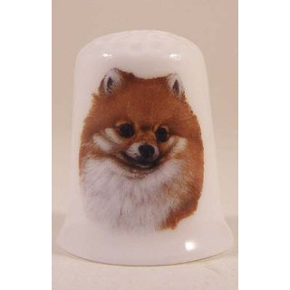 Pomerania hond op een porselein vingerhoedje