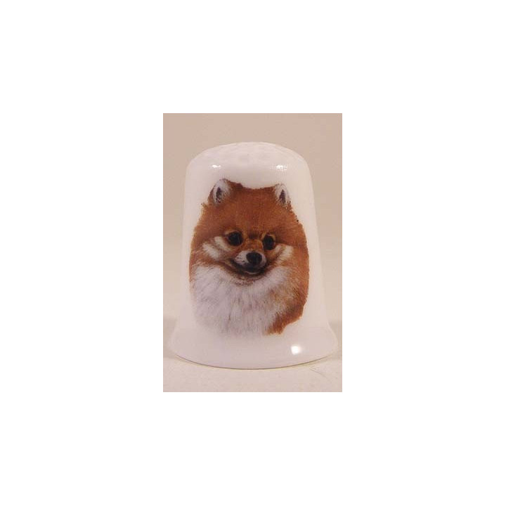 Pomerania hond op een porselein vingerhoedje
