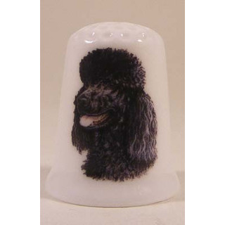 Poedel zwarte hond op een porselein vingerhoedje