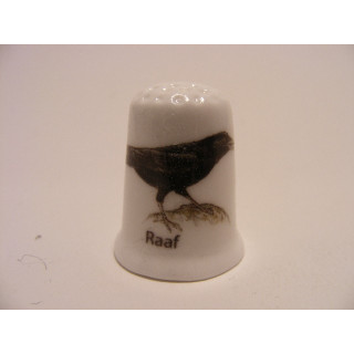 Raaf zangvogel Corvus corax op een porselein vingerhoedje