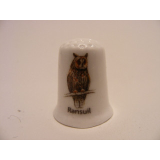 Ransuil Asio otus op een porselein vingerhoedje