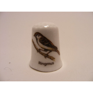 Ringmus zangvogel vingerhoedje