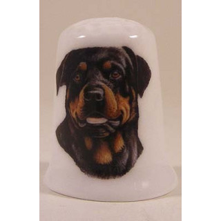 Rottweiler hond op een porselein vingerhoedje
